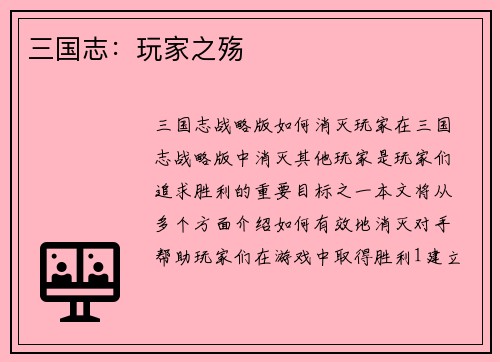 三国志：玩家之殇